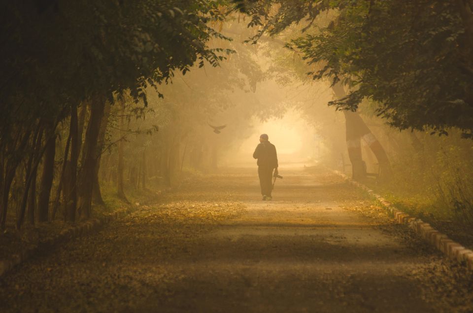 Photo of Bird Paradise turned into Jogger's Park by Kalyan Choudhury