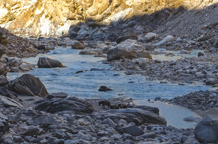 Photo of Pooh, Himachal Pradesh, India by Kalyan Choudhury