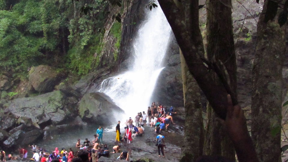 Photo of Wayanad, Kerala, India by meghamala