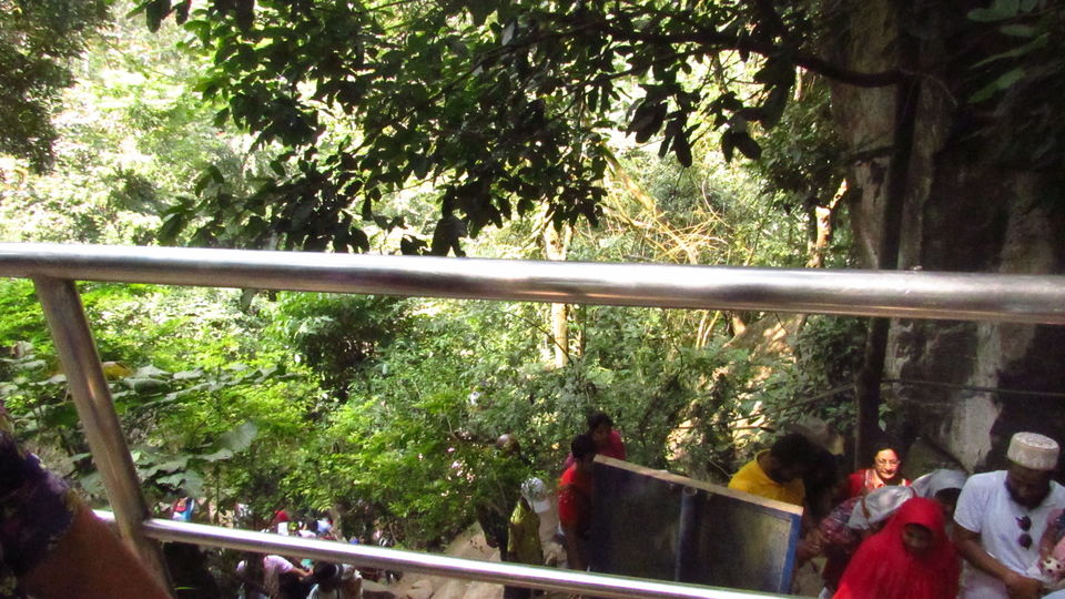 Photo of Wayanad, Kerala, India by meghamala
