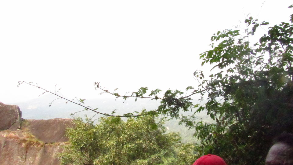 Photo of Wayanad, Kerala, India by meghamala