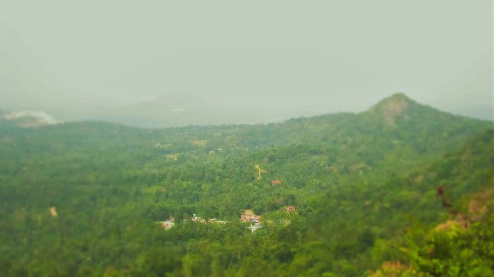 Photo of Wayanad, Kerala, India by meghamala