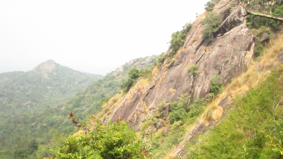 Photo of Wayanad, Kerala, India by meghamala