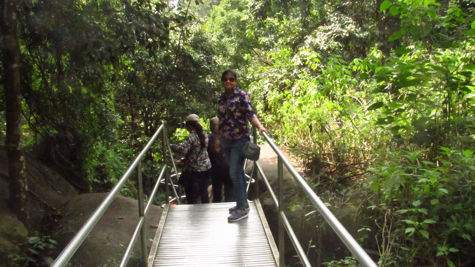 Photo of Wayanad, Kerala, India by meghamala
