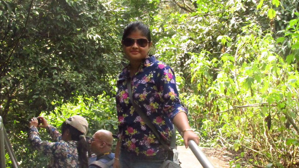 Photo of Wayanad, Kerala, India by meghamala