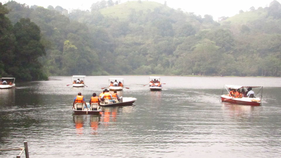 Photo of Wayanad, Kerala, India by meghamala