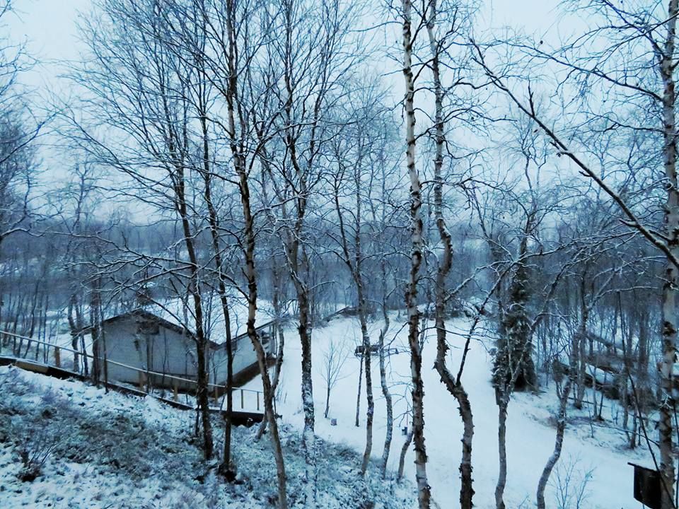 Photo of The Untouched Beauty of the Arctic Circle- Finnish Lapland 1/1 by Shahzad Siddiqui