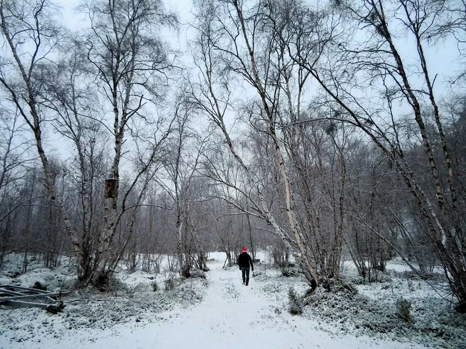 Photo of The Untouched Beauty of the Arctic Circle- Finnish Lapland by Shahzad Siddiqui