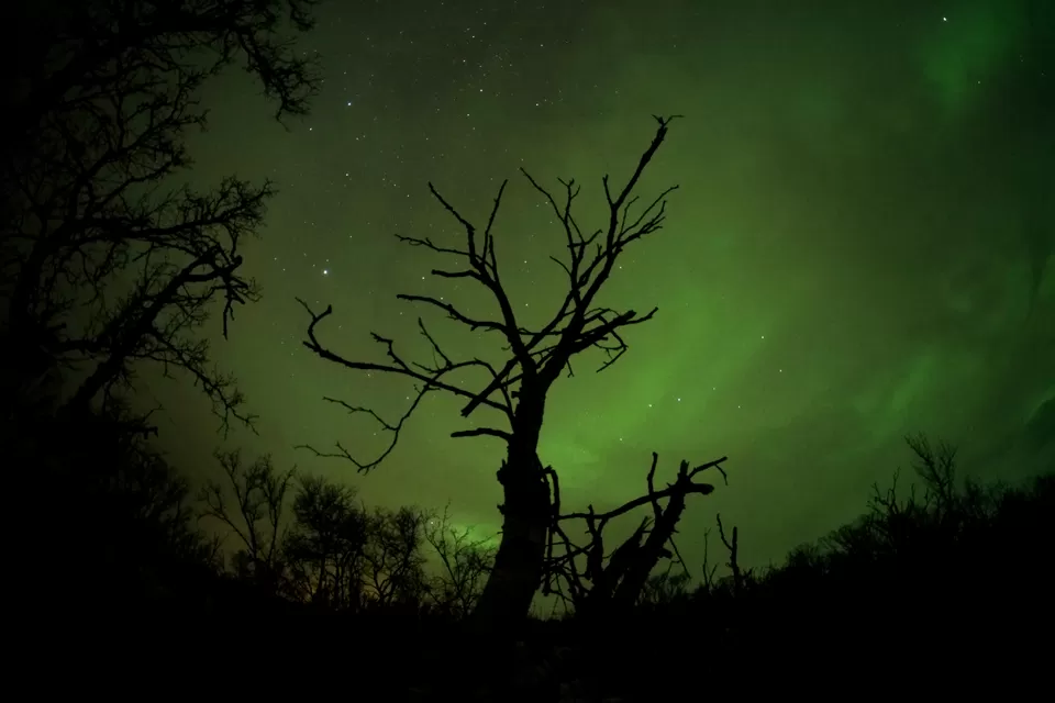 Photo of Northern Lights- Everything you need to know about chasing & photographing the Aurora. by Shahzad Siddiqui