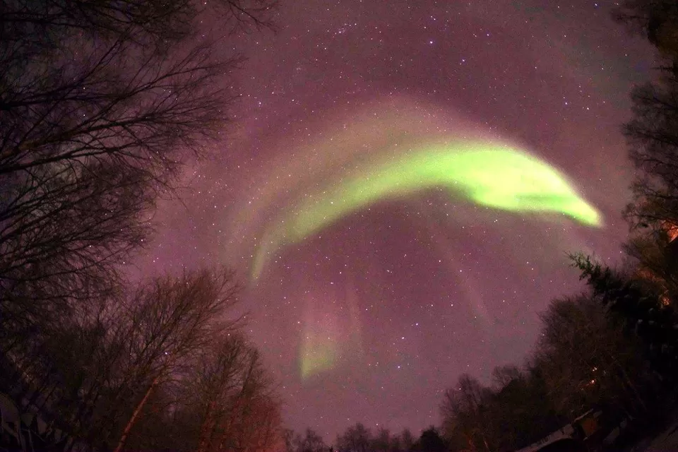 Photo of Northern Lights- Everything you need to know about chasing & photographing the Aurora. by Shahzad Siddiqui