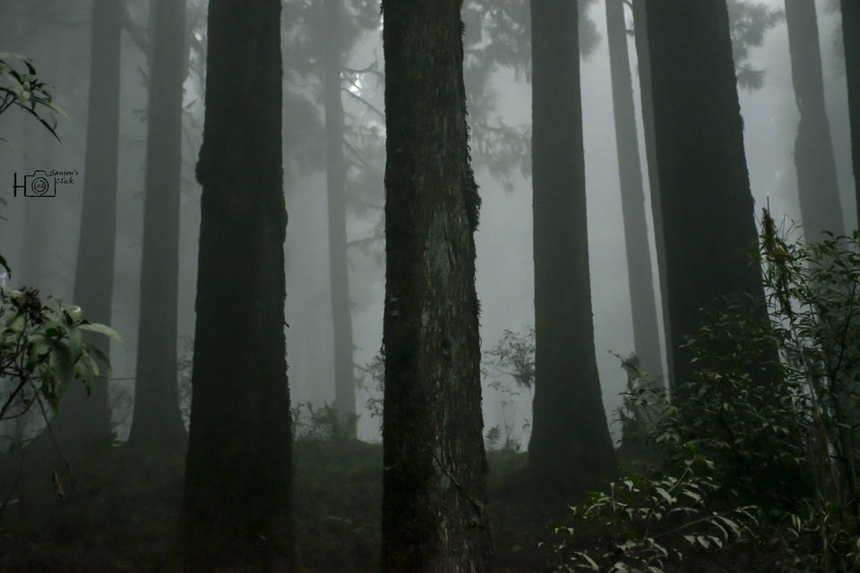 Photo of The Silent Village | Lepchajagat | Darjeeling, West Bengal, India by Sanjoy Barman