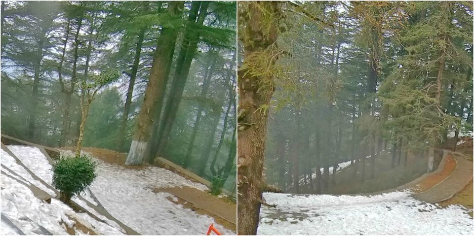 Photo of Jakhu Hill, Jakhu, Shimla, Himachal Pradesh, India by ankita upadhyay