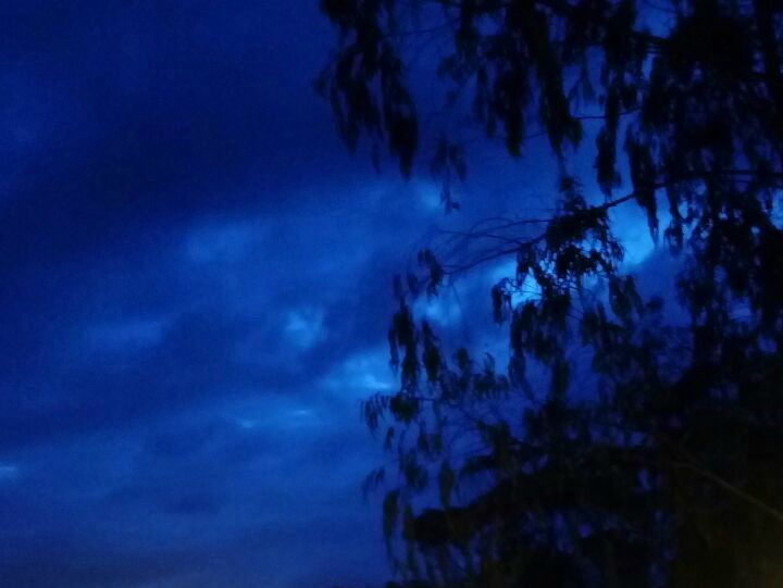 Photo of Coimbatore, Tamil Nadu, India by Ankita Upadhyay