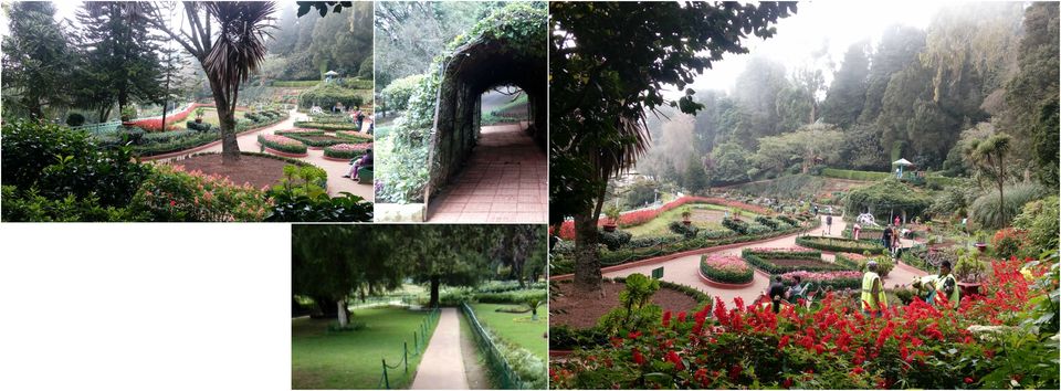 Photo of Ooty Botanical Gardens, Ooty, Tamil Nadu, India by Ankita Upadhyay