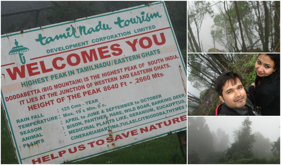 Photo of Doddabetta Peak, Nilgiris, Tamil Nadu, India by Ankita Upadhyay