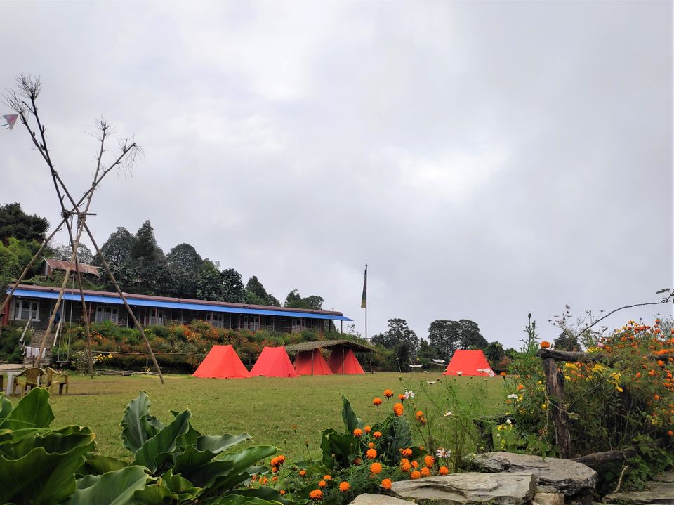Photo of Hike to Australian Base Camp by Ankita Upadhyay