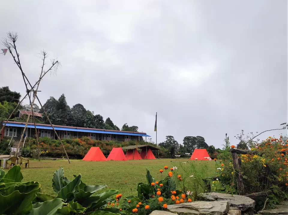 Photo of Hike to Australian Base Camp by Ankita Upadhyay