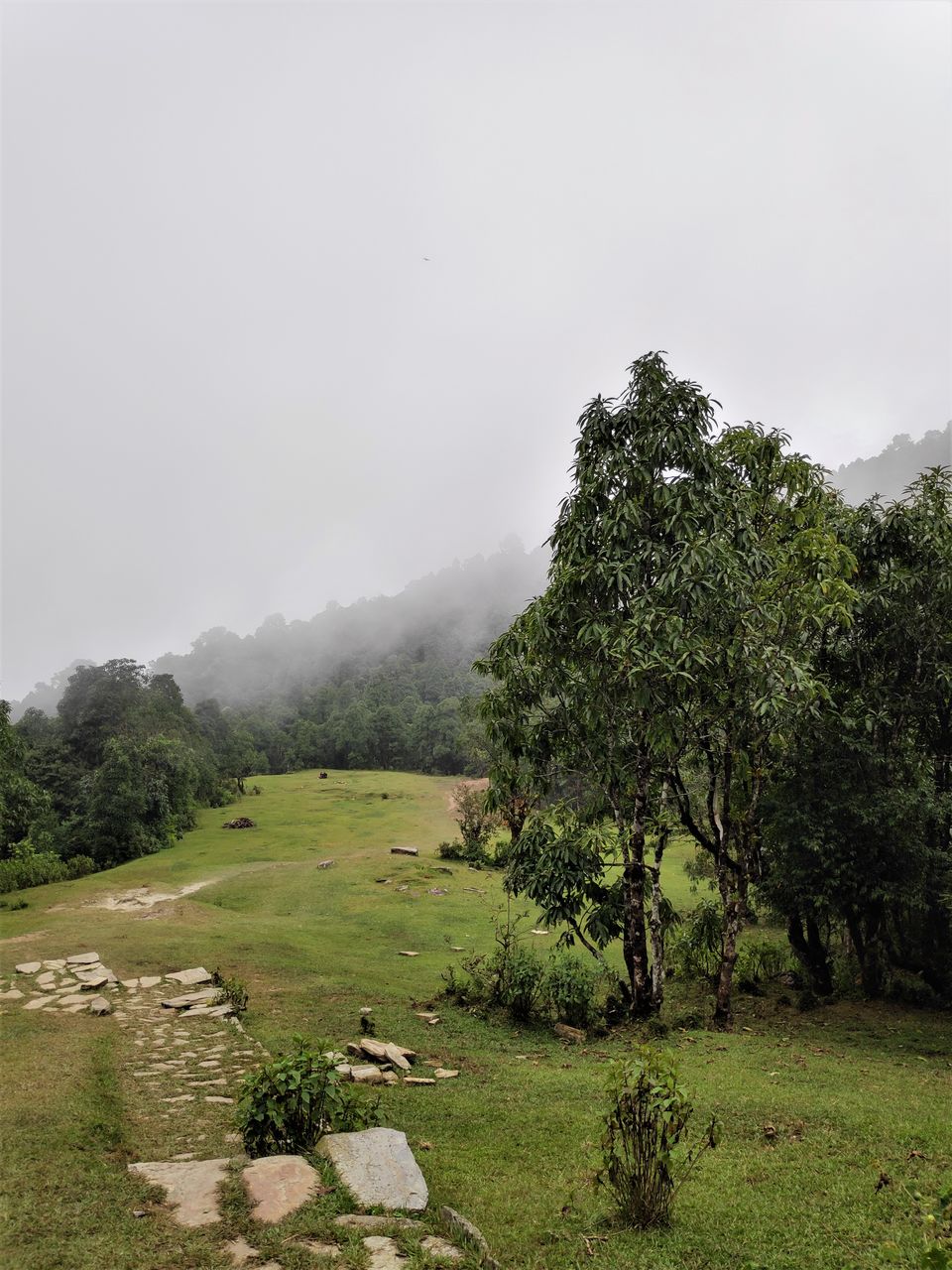 Photo of Hike to Australian Base Camp by Ankita Upadhyay