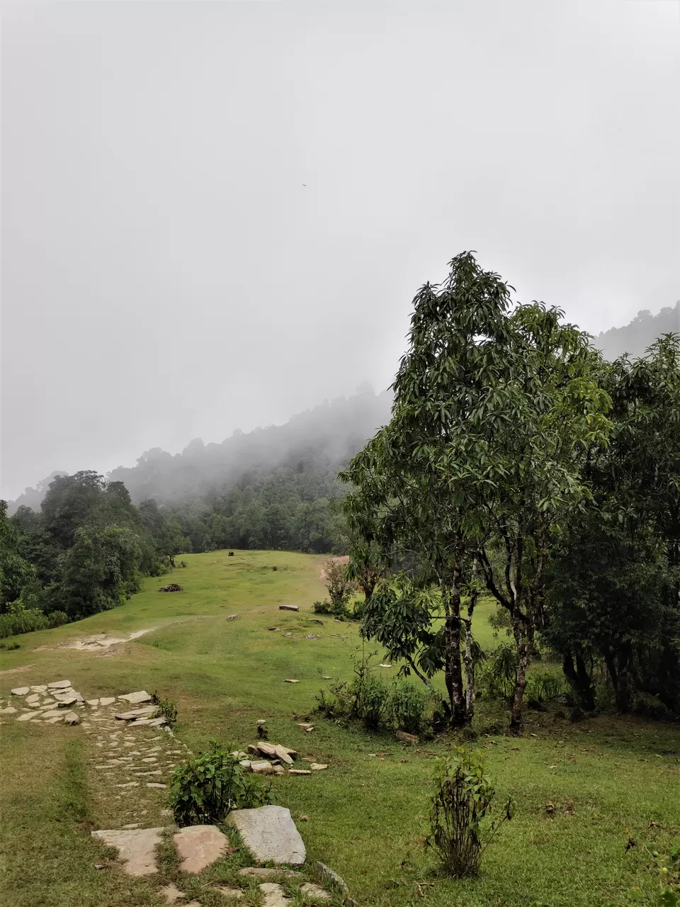 Photo of Hike to Australian Base Camp by Ankita Upadhyay