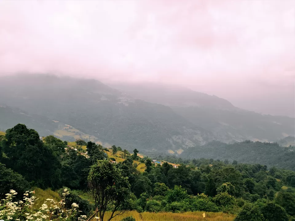 Photo of Hike to Australian Base Camp by Ankita Upadhyay