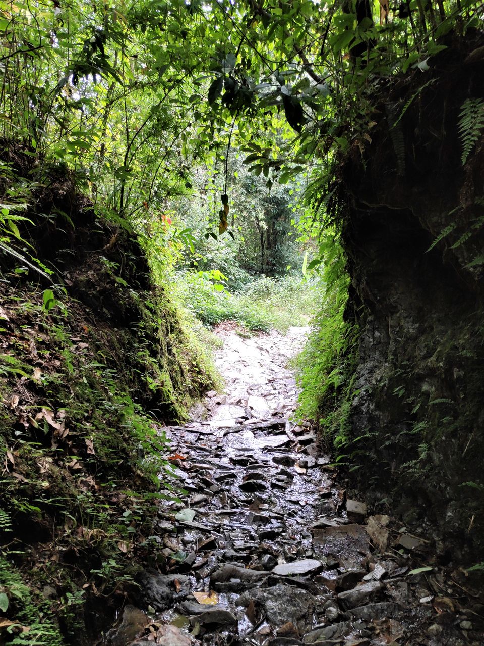 Photo of Hike to Australian Base Camp by Ankita Upadhyay
