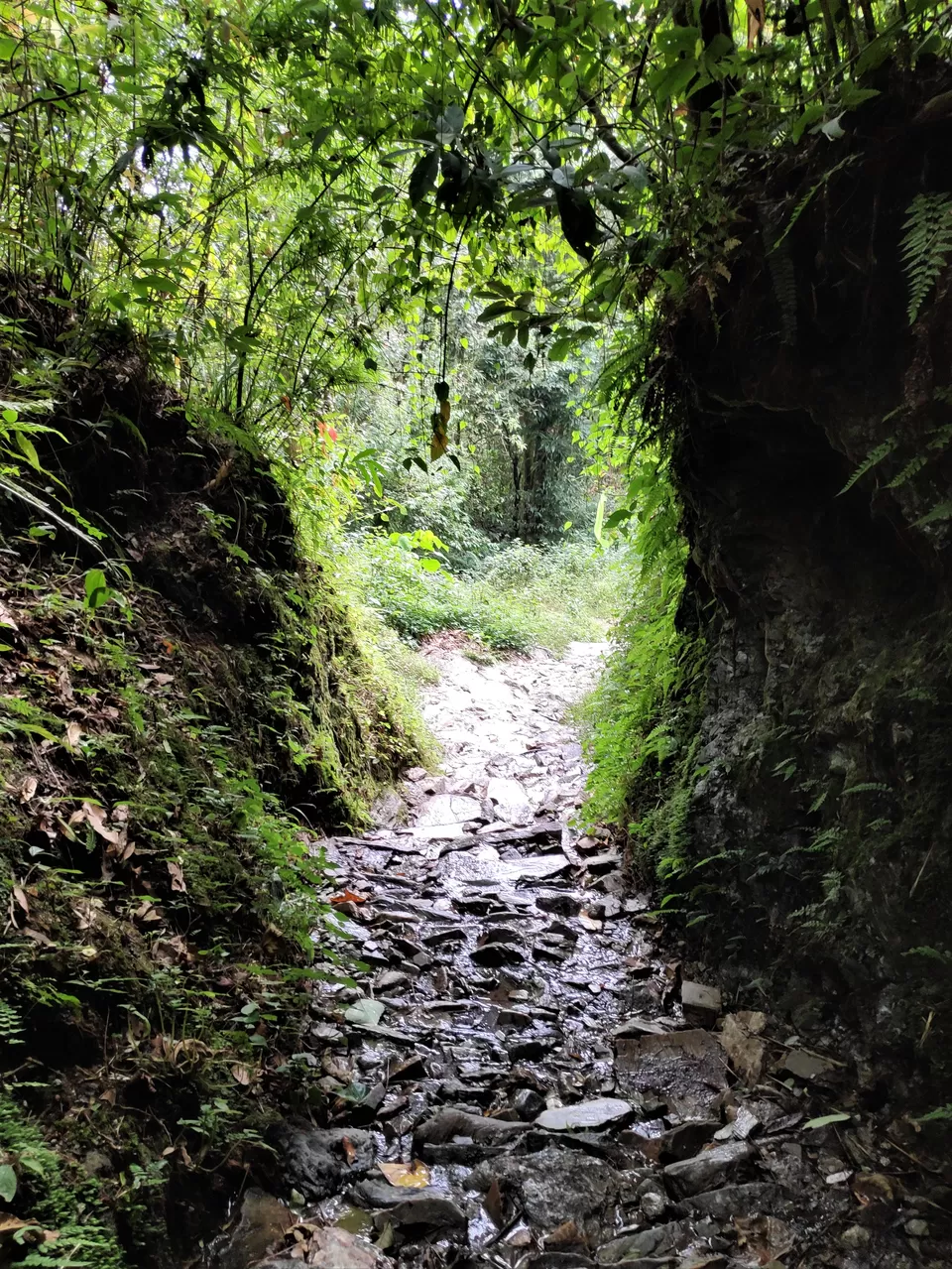 Photo of Hike to Australian Base Camp by Ankita Upadhyay