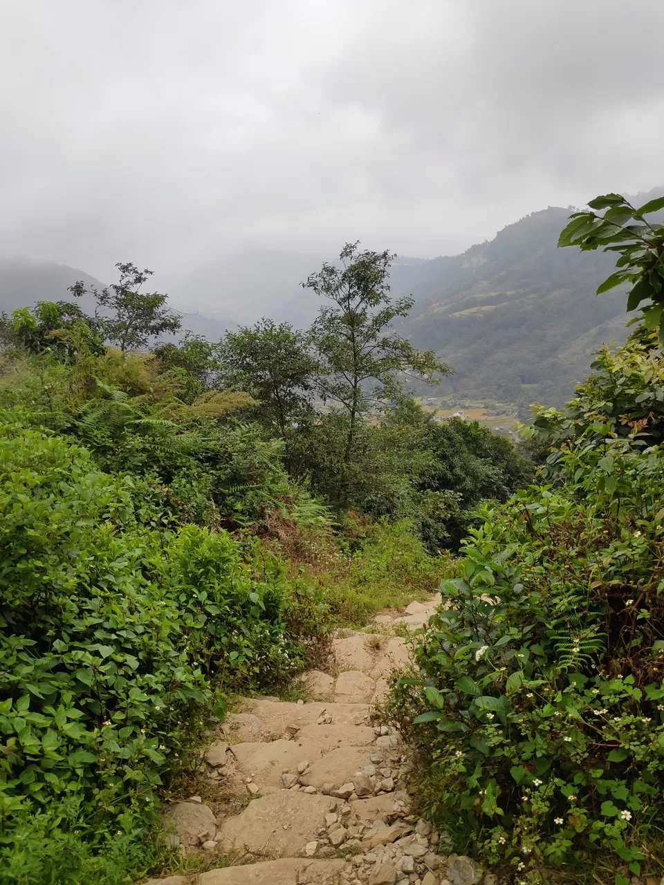 Photo of Hike to Australian Base Camp by Ankita Upadhyay