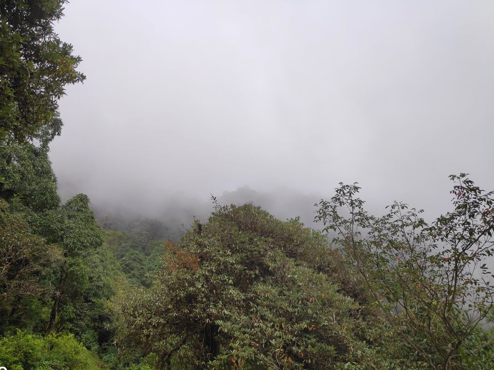 Photo of Hike to Australian Base Camp by Ankita Upadhyay