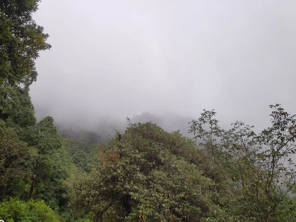 Photo of Hike to Australian Base Camp by Ankita Upadhyay