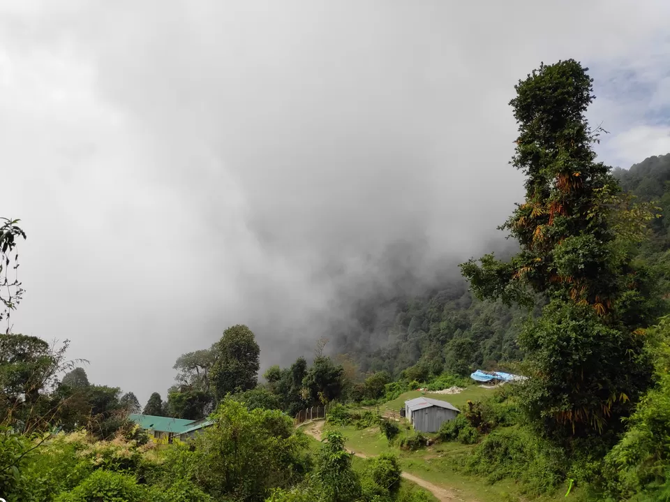 Photo of Hike to Australian Base Camp by Ankita Upadhyay