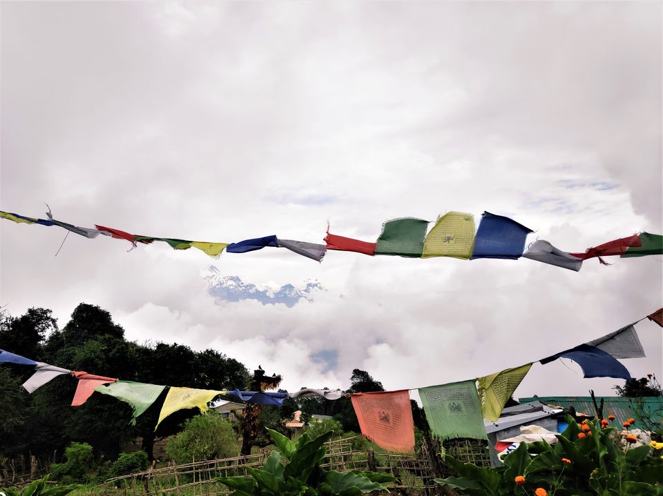 Photo of Hike to Australian Base Camp by Ankita Upadhyay