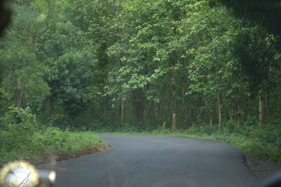 Photo of Round Chilka> Gopalpur >Chandragiri 5/19 by bidisha