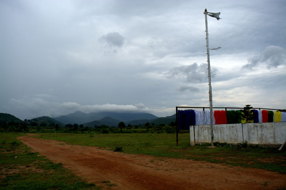 Photo of Round Chilka> Gopalpur >Chandragiri 14/19 by bidisha