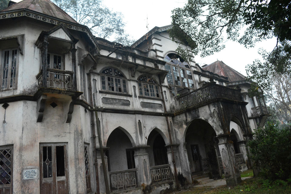 Photo of Kalimpong – A story in the past 14/15 by bidisha