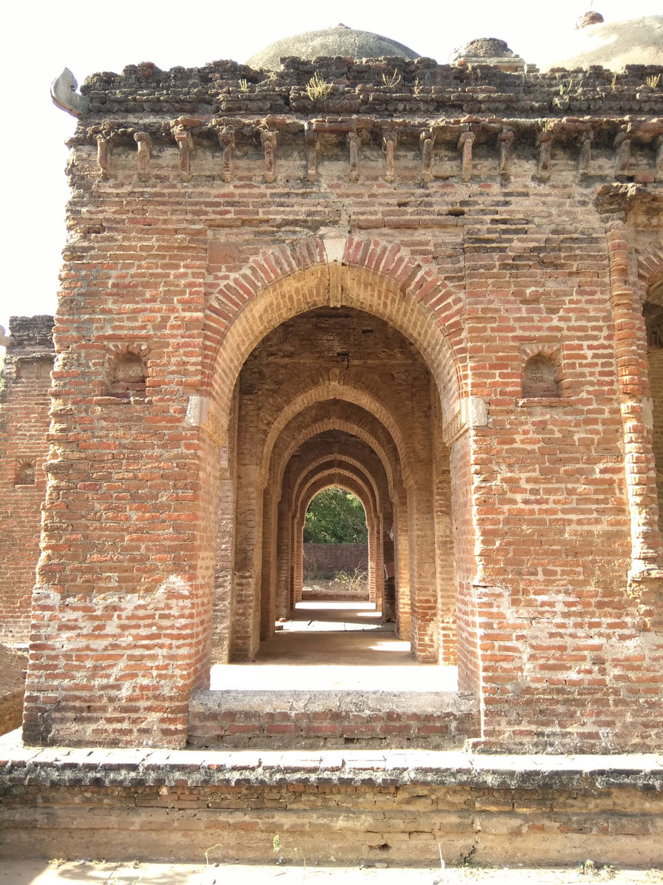 Photo of Roza Rozi, Sojali, Gujarat, India by She_is_travel_girl