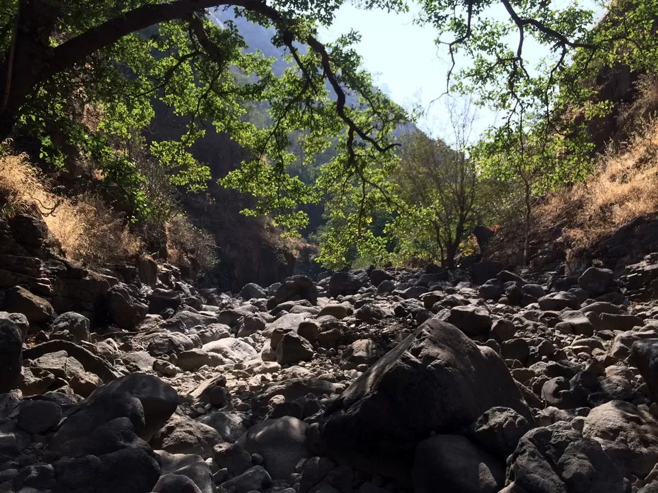 Photo of Sandhan Valley, Ahmednagar, Maharashtra, India by Vasundhara Pammi