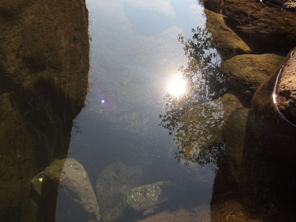 Photo of EXPLORING THE CANYON by Vasundhara Pammi