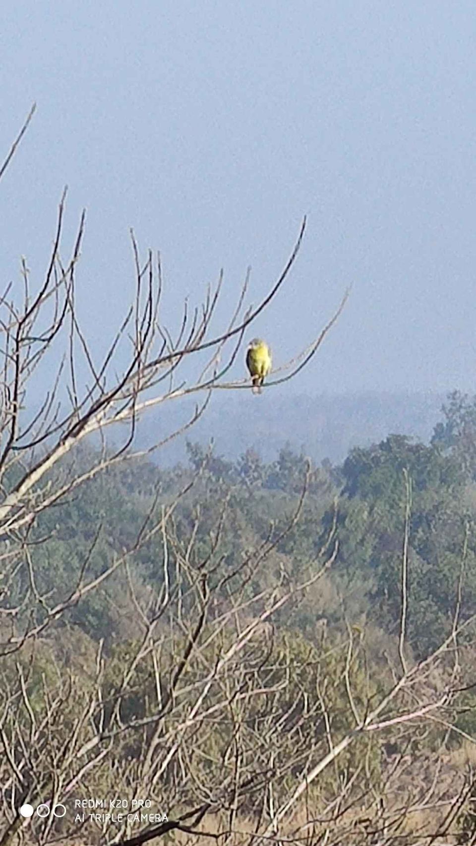 Photo of Pandav Fall, National Highway 39, Nahri, Madhya Pradesh, India by Rahul Uniyal