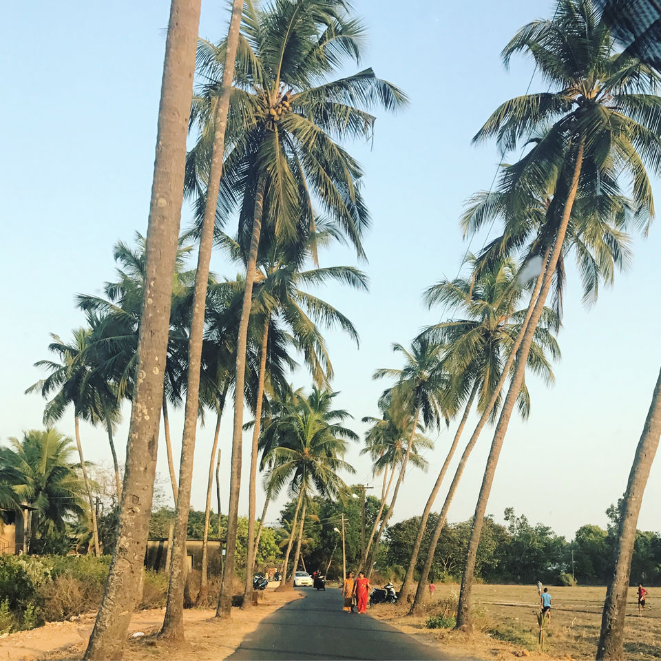 Photo of 5 Reasons You Must Visit Goa With Your Gang! by Aayushi Sant