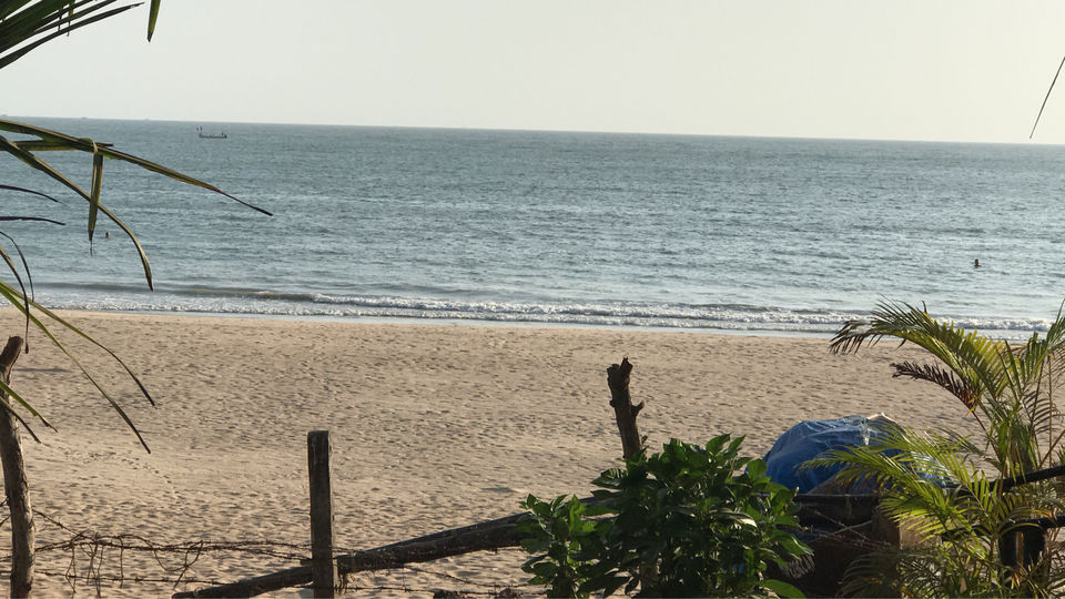 Photo of 5 Reasons You Must Visit Goa With Your Gang! by Aayushi Sant