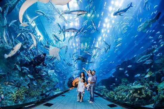 Photo of Sentosa: Make the Most of Your Short Trip. Where to Go What to See 3/6 by Brandon Jones