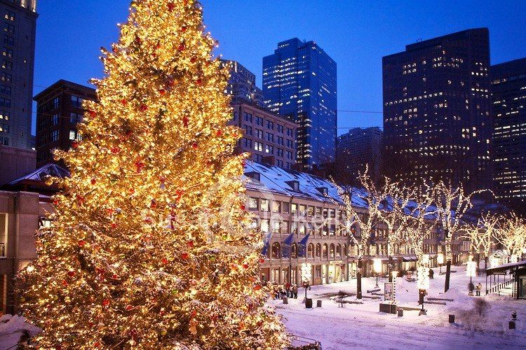 Photo of How to celebrate Christmas in Boston by Brandon Jones