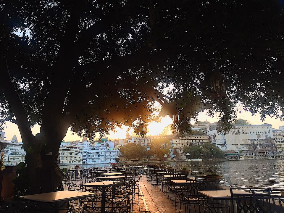 Photo of Udaipur: A travelogue 7/31 by Lishita Jain