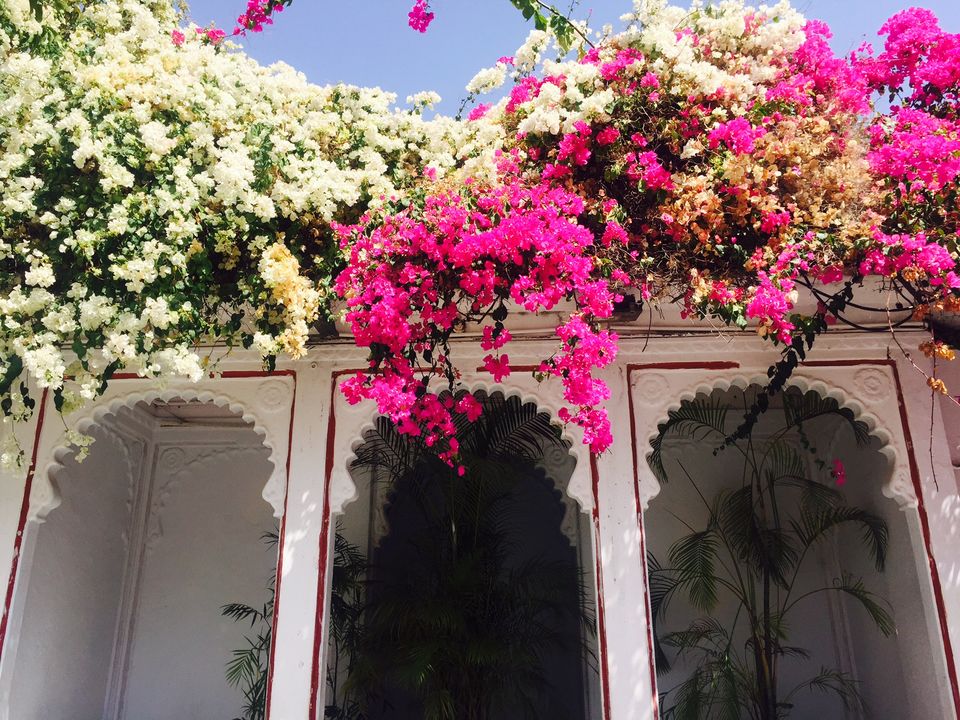 Photo of Udaipur: A travelogue 25/31 by Lishita Jain