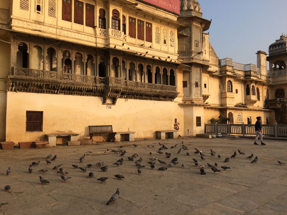 Photo of Udaipur Exploration!!! 15/22 by Shweta Singh