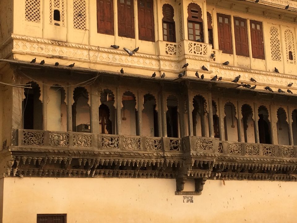 Photo of Udaipur Exploration!!! 18/22 by Shweta Singh