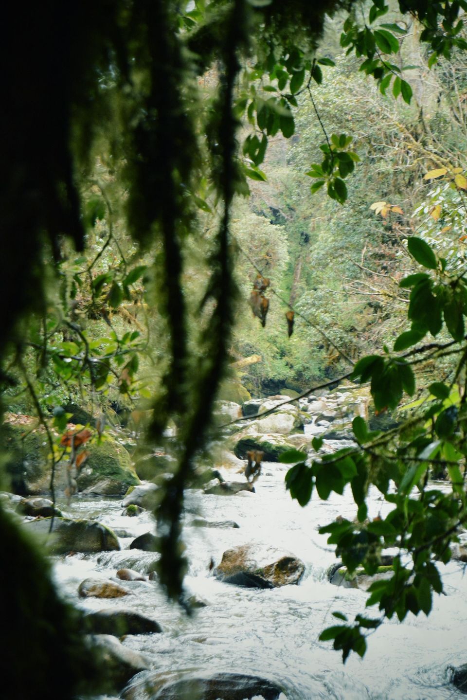 Photo of Mechuka Village by Dev Vashisth