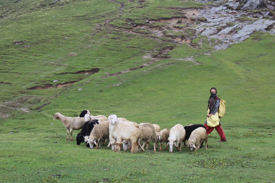 Photo of Bekaltal-Brahamtaal Himalyan Adventure Trek by Anshul Sharma