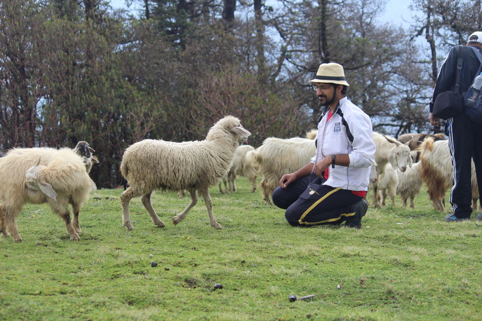 Photo of Bekaltal-Brahamtaal Himalyan Adventure Trek by Anshul Sharma