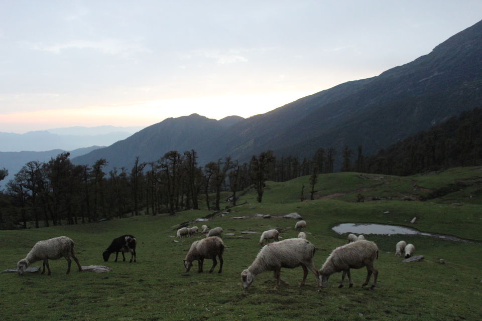 Photo of Bekaltal-Brahamtaal Himalyan Adventure Trek by Anshul Sharma
